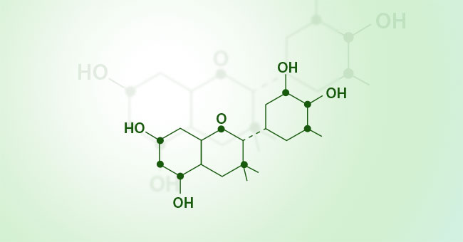 BRAND’S® ingredients hydroxycitric acid detail page