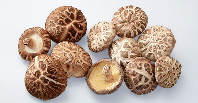 BRAND’S® ingredients shiitake detail page