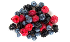 BRAND’S® ingredients berries