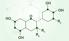 BRAND’S® ingredients hydroxycitric acid